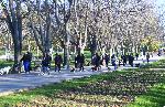 Варна - Втората масова разходка на кучета в Морската във Варна.