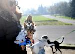 Варна - Втората масова разходка на кучета в Морската във Варна.
