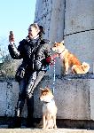 Варна - Втората масова разходка на кучета в Морската във Варна.