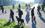 Варна - Втората масова разходка на кучета в Морската във Варна.