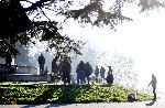 Варна - Втората масова разходка на кучета в Морската във Варна.