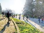 Варна - Втората масова разходка на кучета в Морската във Варна.
