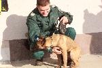 София - Дядо Коледа и Снежанка кацнаха на летището - авиобаза Гранична полиция