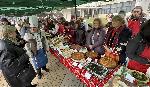 Димитровград- Коледна трапеза