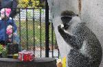 Варна - Коледа в зоопарка