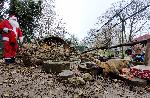 Варна - Коледа в зоопарка