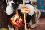 Кремиковци - Коледари