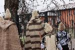 Кремиковци - Коледари