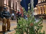 София - БОЕЦ поставя елха пред Министерски съвет
