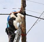 ГОДИШЕН ОБЗОР НА АГЕНЦИЯ БУЛФОТО ЗА 2025