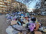 София - Препълнени контейнери за смет