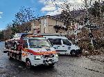 София - Дърво уби жена