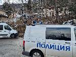 София - Дърво уби жена