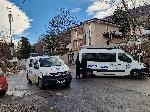 София - Дърво уби жена