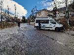 София - Дърво уби жена
