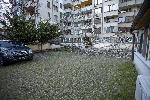 София - Паднало дърво