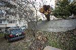 София - Паднало дърво