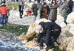 Варна -  Богоявление <br />
<br />
<br />