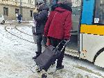 София - Непочистени тротоари и риск от травми