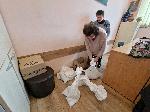 Читалището в столичния квартал Княжево събира жълти стотинки за добри каузи