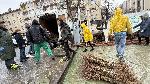 Хасково - Гората.бг разддава фиданки