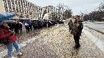 Хасково - Гората.бг разддава фиданки