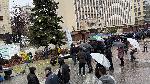 Хасково - Гората.бг разддава фиданки