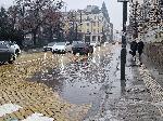 София - Локви по бул. Цар Освободител
