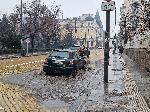 София - Локви по бул. Цар Освободител