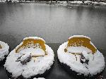 Езерото в парк Кайлъка в Плевен замръзна
