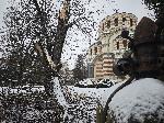 Плевен - Паднало дърво