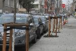 Бургас - Унищожени новозасадени дръвчета