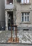 Бургас - Унищожени новозасадени дръвчета