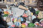 София - Препълнени контейнери за боклук в кв. Хаджи Димитър и кв. Васил Левски