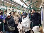 София - Без метро между станции 'Сливнница' и 'Обеля'