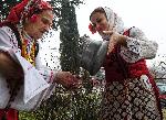 Тополи -Празник с песни, танци, „бебе“ и фалически закачки<br />
<br />