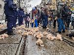 София -  Студенти протестират пред ВСС за оставката на Сарафов