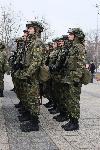 Плевен - Изпращане на военна мисия