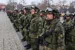 Плевен - Изпращане на военна мисия
