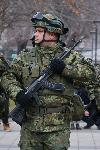 Плевен - Изпращане на военна мисия