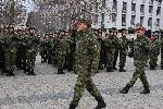 Плевен - Изпращане на военна мисия