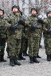 Плевен - Изпращане на военна мисия