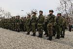 Плевен - Изпращане на военна мисия