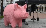 Розовото прасе се появи в  центъра на Варна