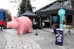 Варна - Ти броиш <br />