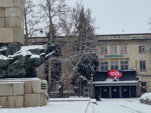 Видин - Протест срещу насилието