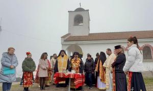 Зарязаха лозята край Харманли