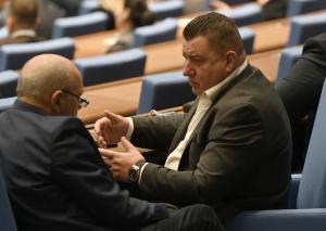 София - Заседание на Народното събрание