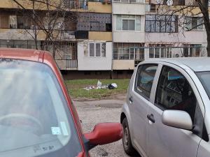 София - кв.Дружба 1 - изхвърлено бебе в ембрионален стадий
