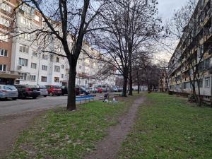 София - кв.Дружба 1 - изхвърлено бебе в ембрионален стадий
